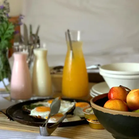 Hotel Bed & Breakfast Reaktiv 3*